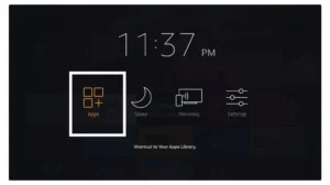 FireStick 13
